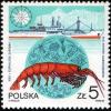 Colnect-1965-839-Antarctic-Krill-and--quot-Antoni-Garnuszewski-quot-.jpg