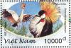 Colnect-1971-998-Grey-Crowned-Crane-Balearica-regulorum.jpg