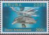 Colnect-1999-449-Rough-toothed-Dolphin-Steno-bredanensis.jpg