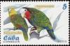 Colnect-2136-988-Yellow-crowned-Amazon-Amazona-ochrocephala.jpg