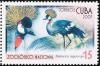 Colnect-2138-107-Grey-Crowned-Crane-Balearica-regulorum.jpg