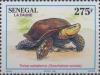 Colnect-2189-114-African-Spurred-Tortoise-Geochelone-sulcata.jpg