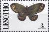 Colnect-2249-579-Woodland-Ringlet-Erebia-medusa.jpg