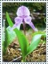 Colnect-2461-099-Wild-Flowers-of-Bhutan.jpg