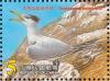 Colnect-2514-564-Chinese-Crested-Tern%C2%A0Thalasseus-bernsteini.jpg