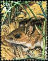 Colnect-2878-327-White-footed-Mouse-Peromyscus-leucopus.jpg