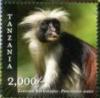 Colnect-3056-850-Zanzibar-Red-Colobus-Procolobus-kirkii.jpg