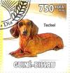 Colnect-3235-297-Dachshund-Canis-lupus-familiaris.jpg