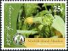 Colnect-3790-937-Norfolk-Island-abutilon-Abutilon-julianae.jpg