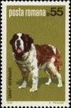 Colnect-4266-424-St-Bernard-Canis-lupus-familiaris.jpg