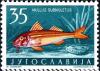 Colnect-4504-136-Striped-Red-Mullet-Mullus-surmuletus.jpg