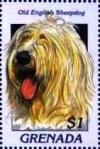 Colnect-4581-350-Old-English-sheepdog.jpg