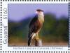 Colnect-4634-632-Northern-Crested-Caracara----Caracara-cheriway.jpg