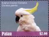 Colnect-4835-368-Sulphur-crested-Cockatoo----Cacatua-galerita.jpg