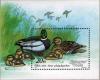 Colnect-512-517-Mallard-Anas-platyrhynchos.jpg