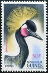 Colnect-540-659-Black-Crowned-Crane-Balearica-pavonina.jpg