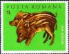 Colnect-580-397-Wild-Boar-Sus-scrofa.jpg