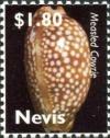 Colnect-5850-088-Measled-cowrie-Cypraea-zebra.jpg