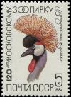 Colnect-6331-214-Grey-Crowned-Crane-Balearica-regulorum.jpg