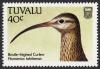 Colnect-850-692-Bristle-thighed-Curlew-Numenius-tahitiensis.jpg