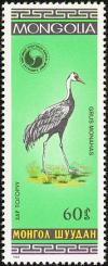 Colnect-859-487-Hooded-Crane-Grus-monacha.jpg