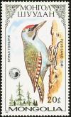 Colnect-860-445-Grey-headed-Woodpecker-Picus-canus.jpg