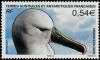 Colnect-888-812-Atlantic-Yellow-nosed-Albatross-Diomedea-chlororhynchos.jpg