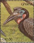 Colnect-1459-787-Abyssinian-Ground-Hornbill-Bucorvus-abyssinicus.jpg