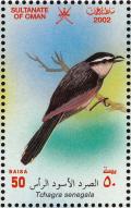 Colnect-1464-132-Black-crowned-Tchagra-Tchagra-senegalus.jpg