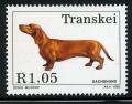 Colnect-1715-722-Dachshund-Canis-lupus-familiaris.jpg