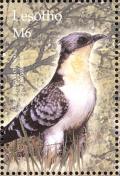 Colnect-1725-614-Great-Spotted-Cuckoo-Clamator-glandarius.jpg