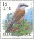 Colnect-187-545-Red-backed-Shrike-Lanius-collurio.jpg