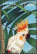 Colnect-2194-133-Yellow-crested-Cockatoo-Cacatua-sulphurea.jpg