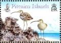 Colnect-2517-360-Bristle-thighed-Curlews-Numenius-tahitiensis.jpg