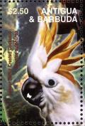 Colnect-3397-637-Yellow-crested-Cockatoo-Cacatua-sulphurea.jpg