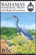 Colnect-3523-063-Tricolored-Heron%C2%A0Egretta-tricolor.jpg