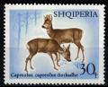 Colnect-3626-275-Roebuck-and-Doe-Capreolus-capreolus.jpg