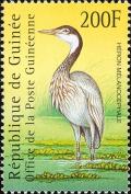 Colnect-3804-312-Black-headed-Heron-Ardea-melanocephala.jpg