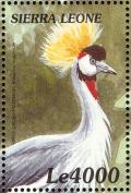 Colnect-3807-389-Grey-Crowned-Crane-Balearica-regulorum.jpg