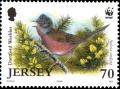 Colnect-4182-704-Dartford-Warbler-Sylvia-undata.jpg