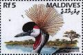 Colnect-4182-863-Grey-Crowned-Crane-Balearica-regulorum.jpg