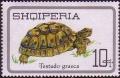 Colnect-452-969-Spur-thighed-tortoise-Testudo-graeca.jpg