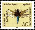 Colnect-5381-551-Broad-bodied-Chaser-Libellula-depressa.jpg