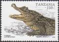 Colnect-5513-196-Broad-snouted-Caiman-Caiman-latirostris.jpg