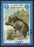 Colnect-583-507-Wild-boar-Sus-scrofa.jpg