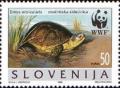 Colnect-688-871-European-pond-tortoise-Emys-orbicularis.jpg