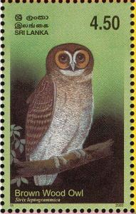 Colnect-2543-483-Brown-Wood-Owl-Strix-leptogrammica.jpg