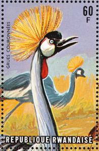 Colnect-1780-798-Grey-Crowned-Crane-Balearica-regulorum.jpg