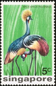 Colnect-1623-936-Grey-Crowned-Crane-Balearica-pavonina.jpg