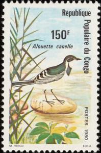 Colnect-3780-313-African-Pied-Wagtail-Motacilla-Aguimp.jpg